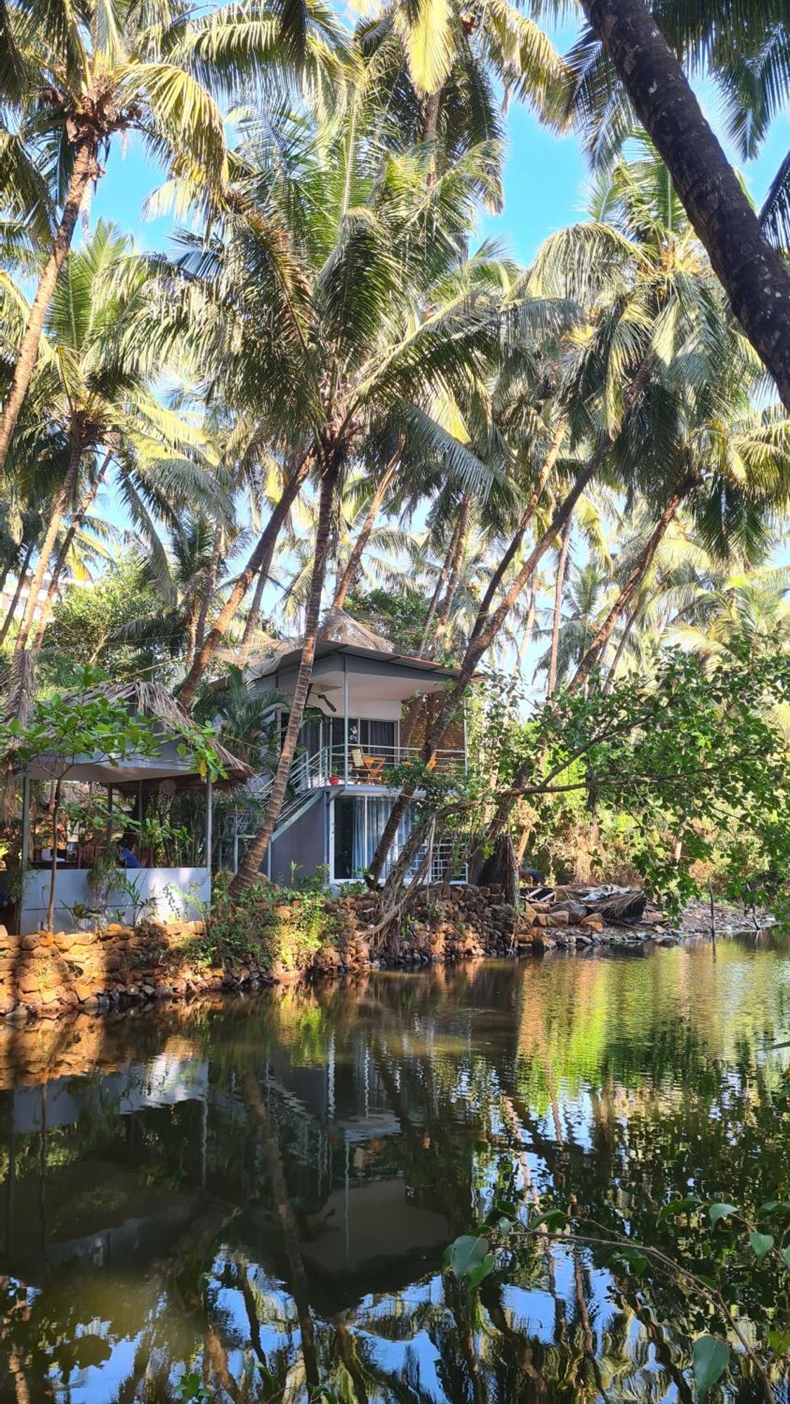 Palm Trees Ayurvedic Heritage Patnem Beach Dış mekan fotoğraf